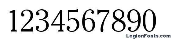 Cheltenham Light Regular Font, Number Fonts