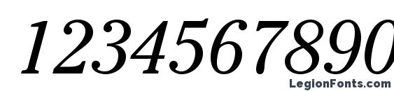 CheltenhamStd BookItalic Font, Number Fonts