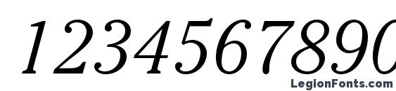 CheltenhamStd LightItalic Font, Number Fonts