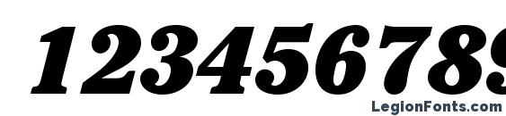 CheltenhamStd UltraItalic Font, Number Fonts