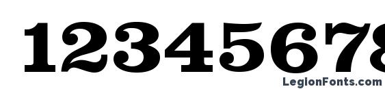 ClareSerial Xbold Font, Number Fonts