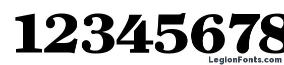 ClearfaceSerial Heavy Regular Font, Number Fonts