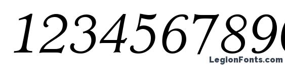 Cleric Light SSi Light Italic Font, Number Fonts