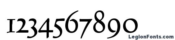 Codex LT Font, Number Fonts
