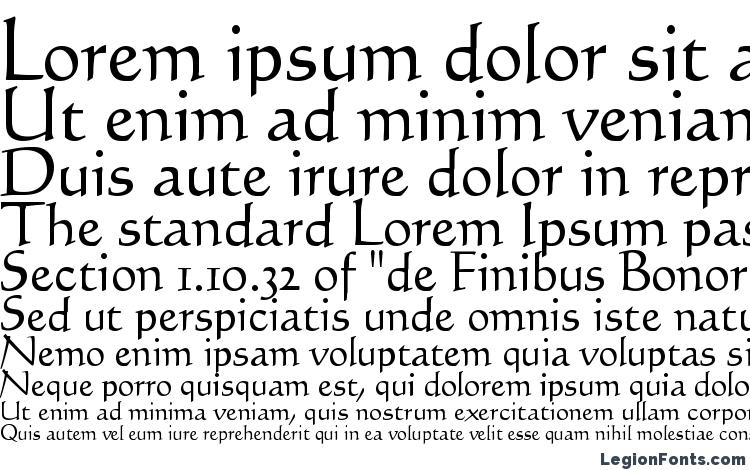 specimens Codex LT font, sample Codex LT font, an example of writing Codex LT font, review Codex LT font, preview Codex LT font, Codex LT font