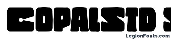 CopalStd Solid font, free CopalStd Solid font, preview CopalStd Solid font