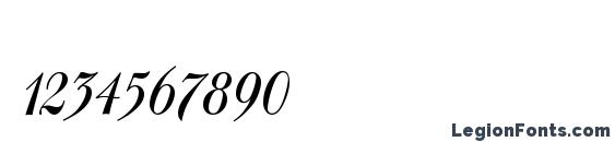 Copyist Thin Font, Number Fonts