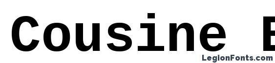 Cousine Bold Font, Serif Fonts