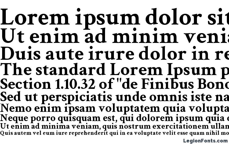 specimens Crimson Text Bold font, sample Crimson Text Bold font, an example of writing Crimson Text Bold font, review Crimson Text Bold font, preview Crimson Text Bold font, Crimson Text Bold font