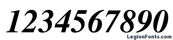 CyrillicSerif BoldItalic Font, Number Fonts