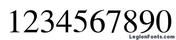 CyrillicSerif Roman Font, Number Fonts