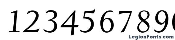 D690 Roman Italic Font, Number Fonts