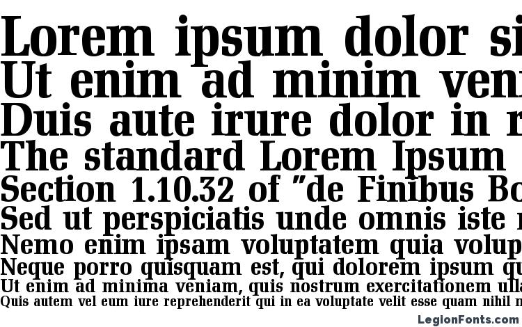 specimens D790 Roman Bold font, sample D790 Roman Bold font, an example of writing D790 Roman Bold font, review D790 Roman Bold font, preview D790 Roman Bold font, D790 Roman Bold font
