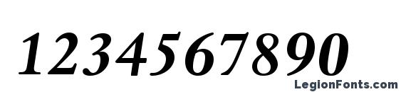 DanteMTStd BoldItalic Font, Number Fonts