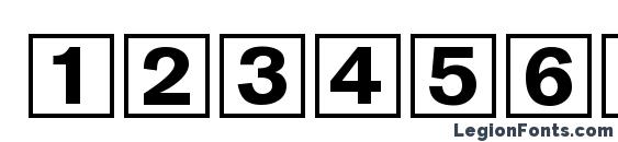 DataSymDDB Normal Font, Number Fonts