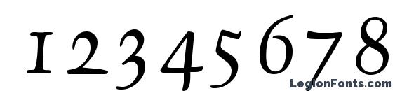 Debden Regular DB Font, Number Fonts