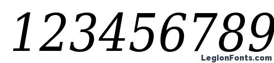 DejaVu Serif Italic Condensed Font, Number Fonts