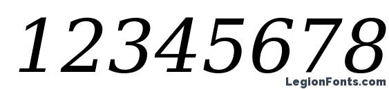 DejaVu Serif Italic Font, Number Fonts