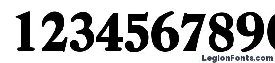 Dendro Display SSi Font, Number Fonts