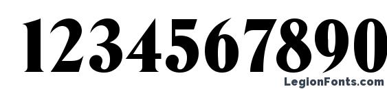 DenverSerial Heavy Regular Font, Number Fonts