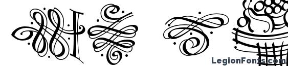 DF Calligraphic Ornaments LET Plain.1.0 Font