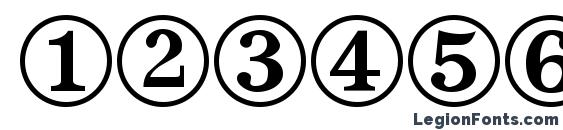 Dingbats Two Font, Number Fonts