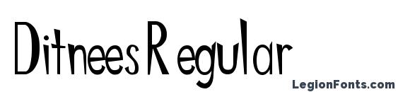 Ditnees Regular font, free Ditnees Regular font, preview Ditnees Regular font
