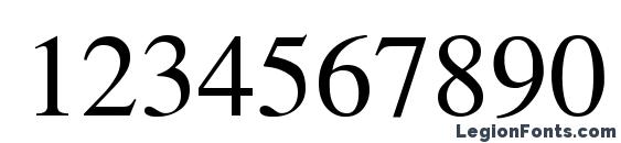 Donte Normal Font, Number Fonts