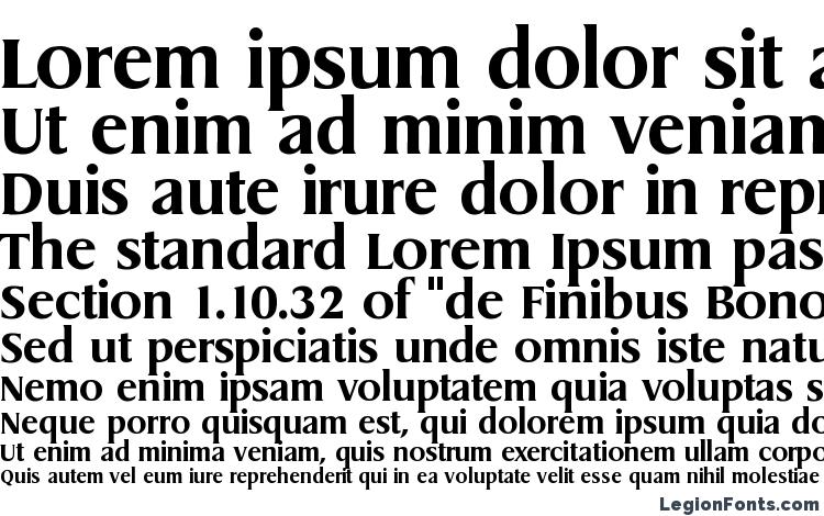 specimens Dragon Bold font, sample Dragon Bold font, an example of writing Dragon Bold font, review Dragon Bold font, preview Dragon Bold font, Dragon Bold font
