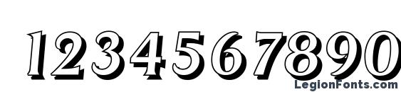 DragonShadow Italic Font, Number Fonts