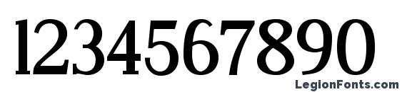 Dustismo Roman Bold Font, Number Fonts