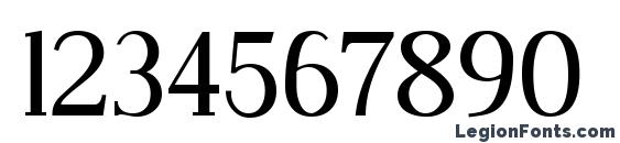 Dustismo Roman Font, Number Fonts