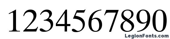 Dutch 801 Roman SWA Font, Number Fonts