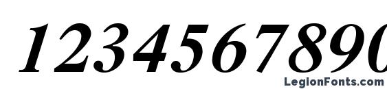 Dutch Bold Italic Font, Number Fonts