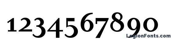 DyadisSCITC TT Полужирный Font, Number Fonts