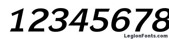 DynaGroteskLXE BoldItalic Font, Number Fonts