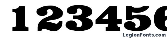 Egyptian Regular Font, Number Fonts