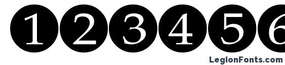 Eight regular Font, Number Fonts