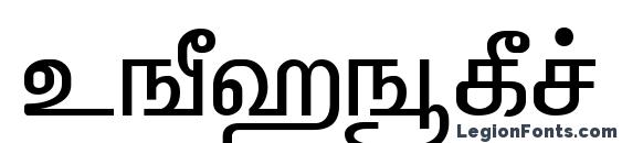 шрифт Elango tml panchali normal, бесплатный шрифт Elango tml panchali normal, предварительный просмотр шрифта Elango tml panchali normal