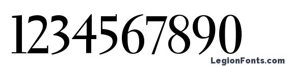 Electra LT Bold Display Font, Number Fonts