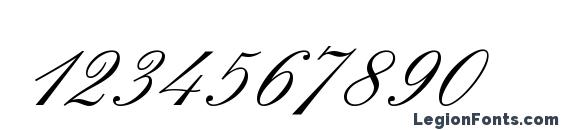 Elegant Script Regular Font, Number Fonts