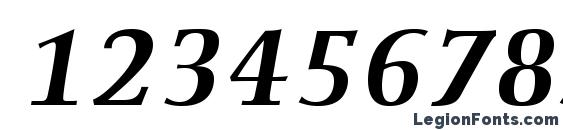 EllingtonMTStd BoldItalic Font, Number Fonts