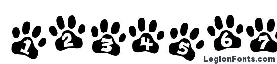 Ennobled Pet Font, Number Fonts