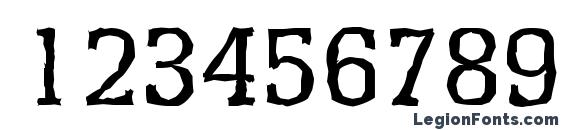 EnschedeAntique Regular Font, Number Fonts