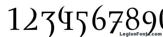 Envision roman Font, Number Fonts