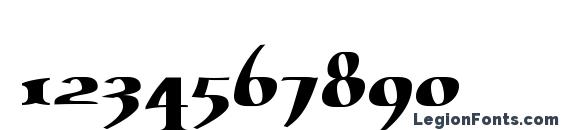 Erasmus Font, Number Fonts