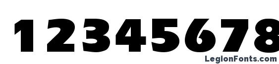 Erika Rus Bold Font, Number Fonts