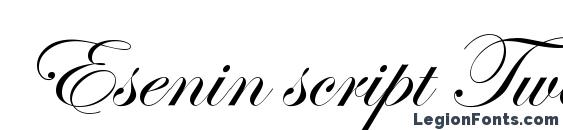 Esenin script Two Font, All Fonts