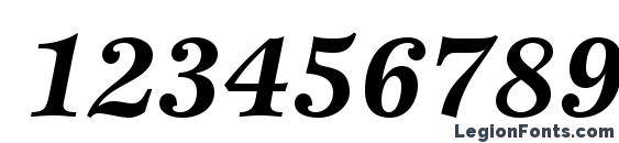 EspritStd BoldItalic Font, Number Fonts