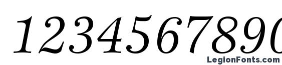 EspritStd BookItalic Font, Number Fonts